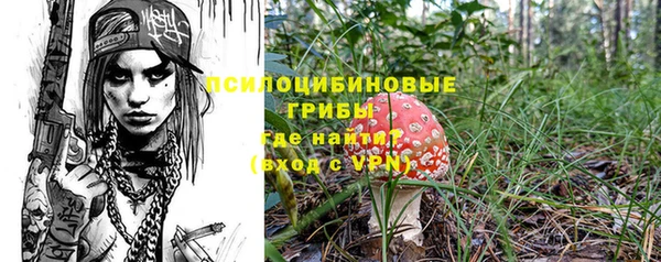 прущая мука Бородино